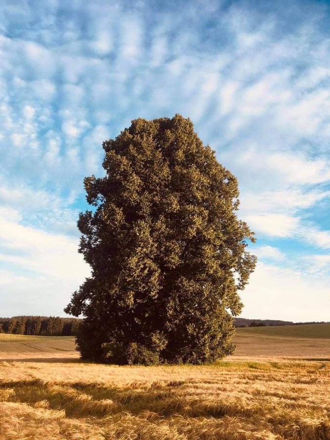 Usedlost Pivoňka Mnichov Exteriér fotografie